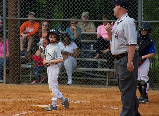 回顾类似案 回顾类似案