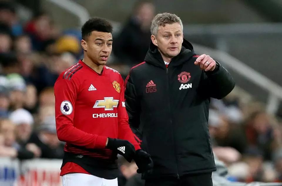 海岛生活 海岛生活